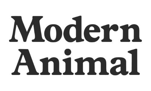 Modern Animal